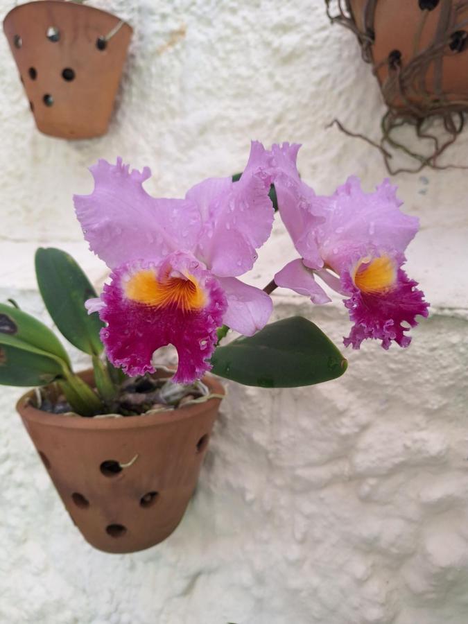 Cantinho Da Paz 尼泰罗伊 外观 照片