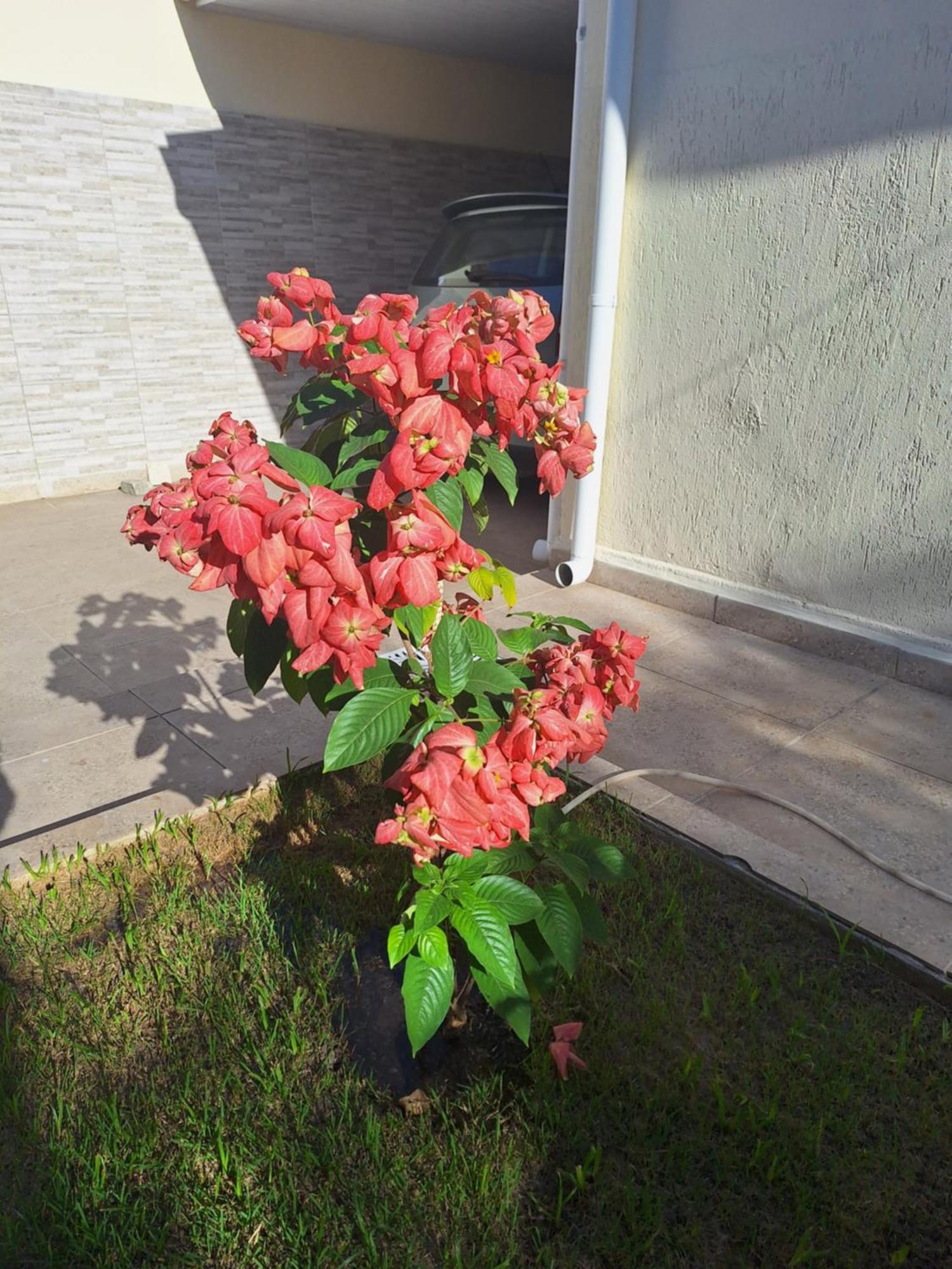 Cantinho Da Paz 尼泰罗伊 客房 照片